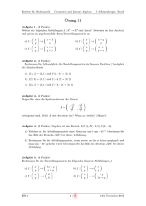 Übungsblatt 11 - Institut für Mathematik