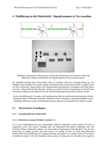 Einführung in die Elektrizität – Signaltransport in