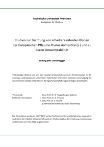 Studien zur Züchtung von scharkaresistenten Klonen