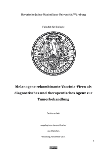 Dissertation_Kirscher_Lorenz - OPUS Würzburg