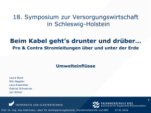 18. Symposium zur Versorgungswirtschaft in Schleswig
