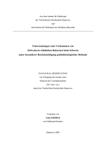 Untersuchungen zum Vorkommen von Helicobacter