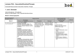 Lehrplan PHA GKT - bsd-bern