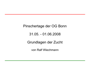 Pinschertage der OG Bonn 31.05. - 01.06.2008 Grundlagen der Zucht