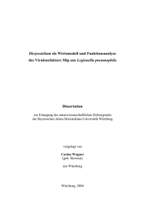 Dictyostelium discoideum als Modellsystem und Funktionsanalyse des