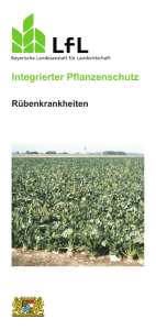 Die Publikation als PDF 1,2 MB - Bayerische Landesanstalt für