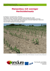 Maisanbau mit weniger Herbizideinsatz - endure