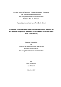 Straßmeier, P. - Elektronische Dissertationen der LMU München