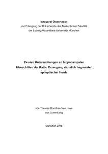 Ex-vivo Untersuchungen an hippocampalen Hirnschnitten der Ratte