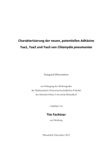 Dateien anzeigen - Universit&auml;t D&uuml;sseldorf