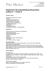 Hebammen Grundausbildung Akupunktur Aufbau II / Praxis II