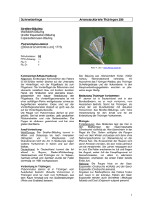 1 Schmetterlinge Artensteckbriefe Thüringen 200