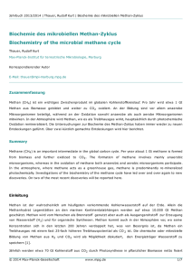 Biochemie des mikrobiellen Methan