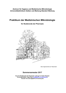 Skript zum Praktikum