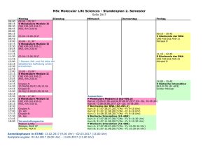 Stundenplan 2. Semester