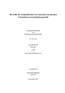 1. Einleitung - bei DuEPublico - an der Universit&auml;t Duisburg