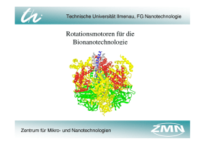 Bionanotechnologie 4