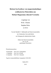 Bottom-Up‐Synthese von magnesiumhaltigen