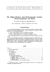 Die Allgäu-Schichten (Jura-Fleckenmergel) zwischen