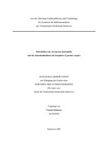 Aus der Abteilung Fischkrankheiten und Fischhaltung des Zentrums