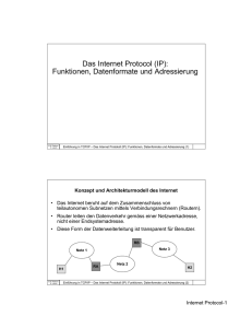 (IP): Funktionen, Datenformate und Adressierung