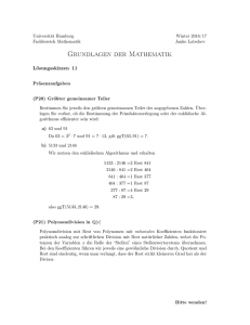Lösungsskizzen zu Blatt 11 - Fachbereich Mathematik