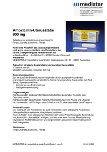 Amoxicillin Uterusstäbe 800 mg - MEDISTAR Arzneimittelvertrieb