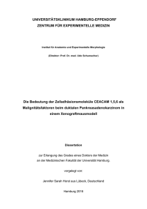 Die Bedeutung der Zelladhäsionsmoleküle CEACAM 1, 5, 6 als