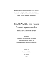 CEACAM16, ein neues Strukturprotein der Tektorialmembran