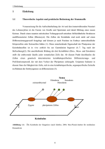 1 Einleitung Keimbahn Soma - diss.fu