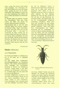 Ölkäfer (Meloidae)