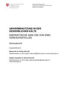 000000290077 - Bundesamt für Energie BFE