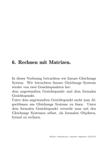 6. Rechnen mit Matrizen.