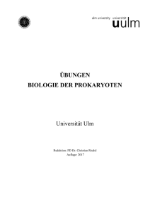 übungen biologie der prokaryoten