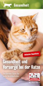 Gesundheit und Vorsorge bei der Katze