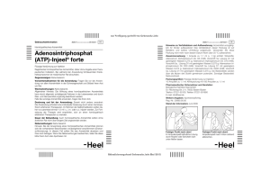 Adenosintriphosphat (ATP)-Injeel® forte