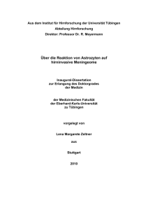 Über die Reaktion von Astrozyten auf hirninvasive Meningeome