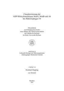 Charakterisierung der ADP-Ribosyltransferasen ModA, ModB und