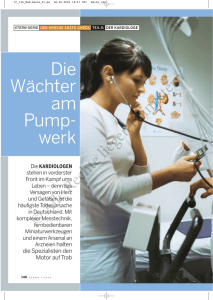 Die Wächter am Pump- werk