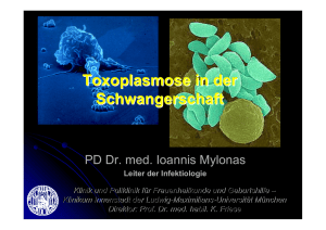 Toxoplasmose