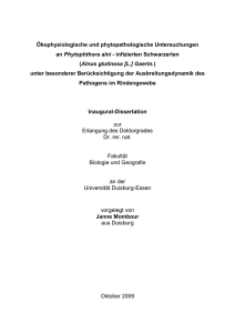 Doktorarbeit allerletzte Version ENDE - bei DuEPublico