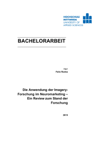 Bachelorarbeit Final Felix Renke - MOnAMi