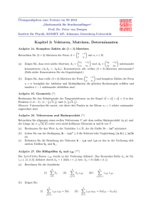 Kapitel 3: Vektoren, Matrizen, Determinanten