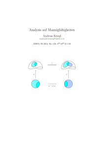 Analysis auf Mannigfaltigkeiten