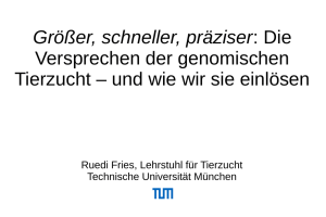 3.fries | 2000,66 KB - H. Wilhelm Schaumann Stiftung