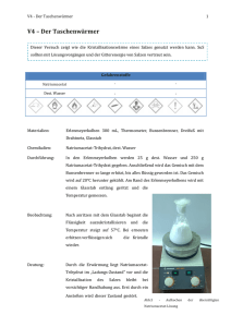 V4 – Der Taschenwärmer - Unterrichtsmaterialien Chemie