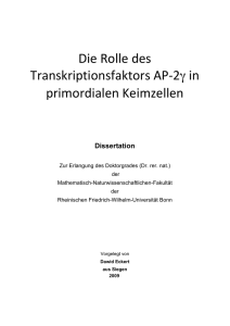 pdf-Dokument - Universität Bonn