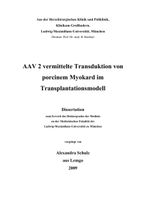 AAV2 vermittelte Transduktion von porcinem Myokard im