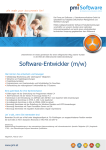 pmi software entwickler_Rismondo.indd
