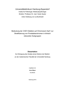 1 Einleitung - E-Dissertationen der Universität Hamburg